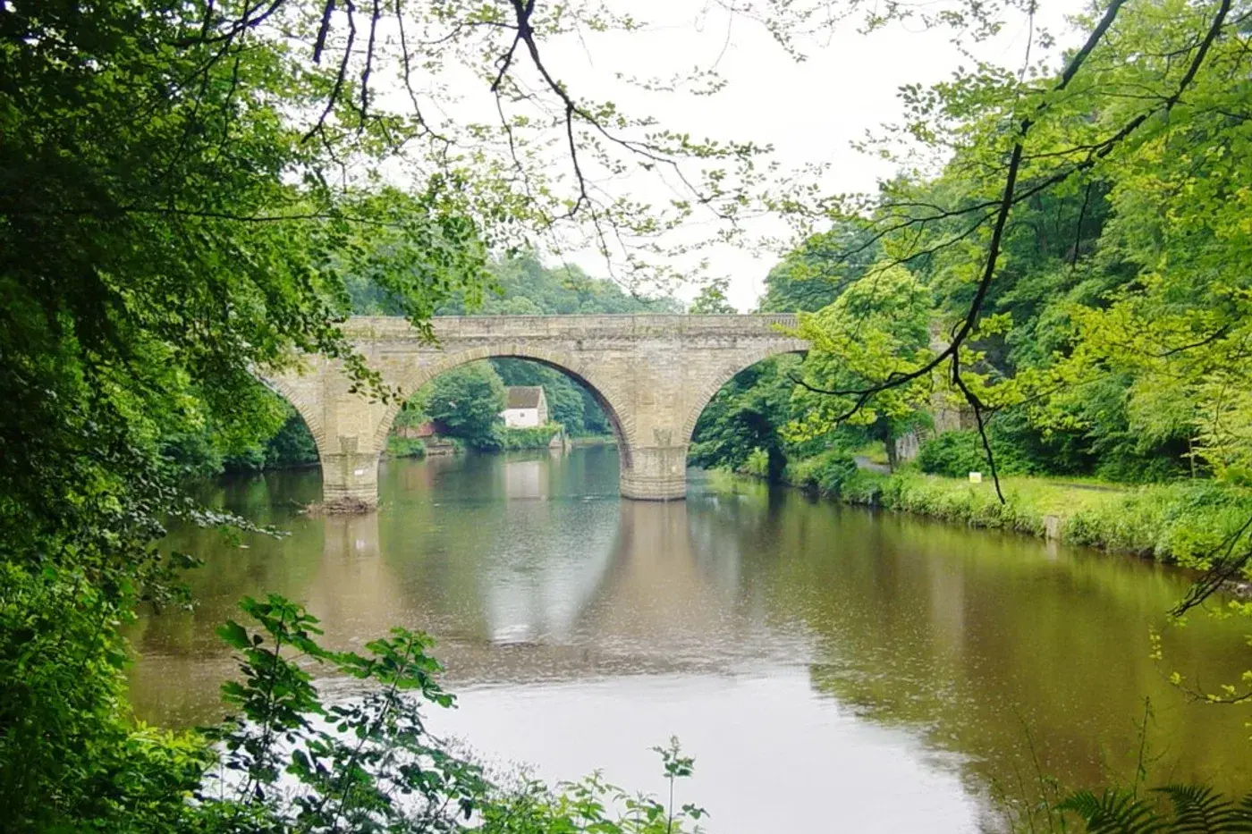 The Best Walks In and Around Durham