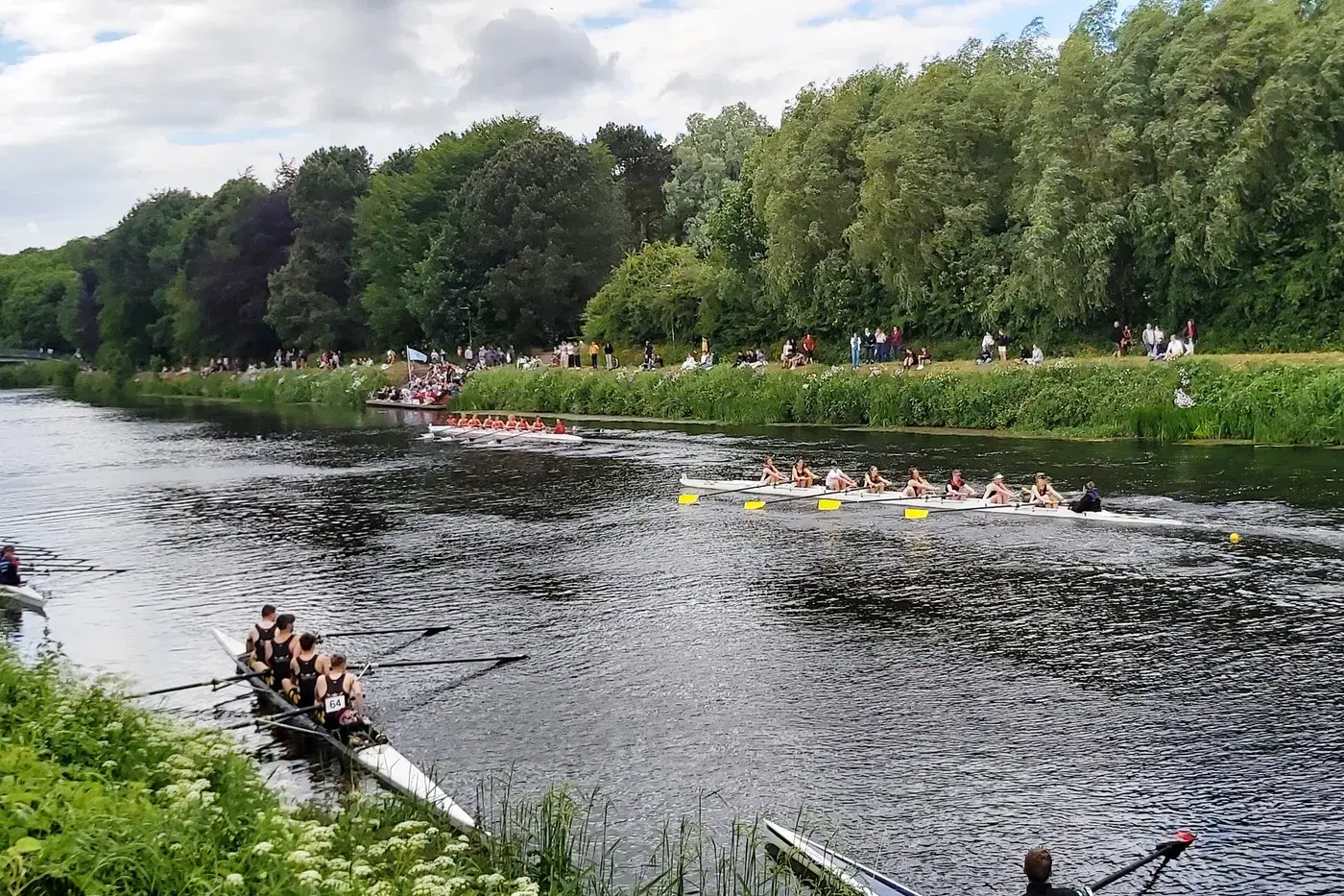 Durham Regatta: A Guide to the North's Oldest Rowing Event